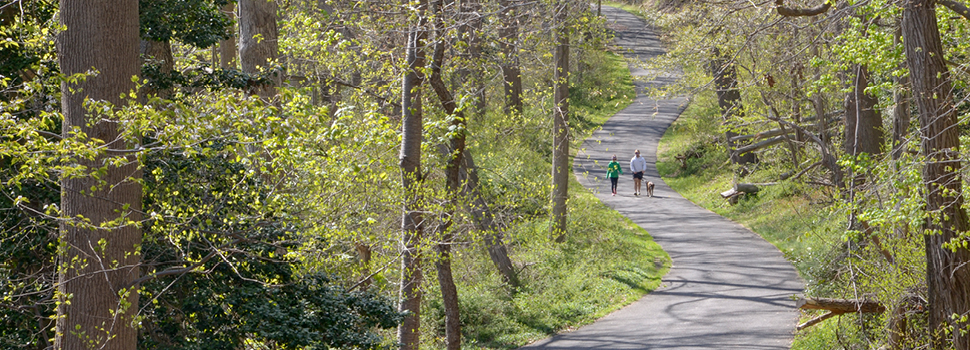 Local’s Guide to Our Favorite Central Jersey Parks and Running Trails!