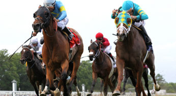 This Week at Monmouth Park: Cigar & Bourbon Pig Roast!